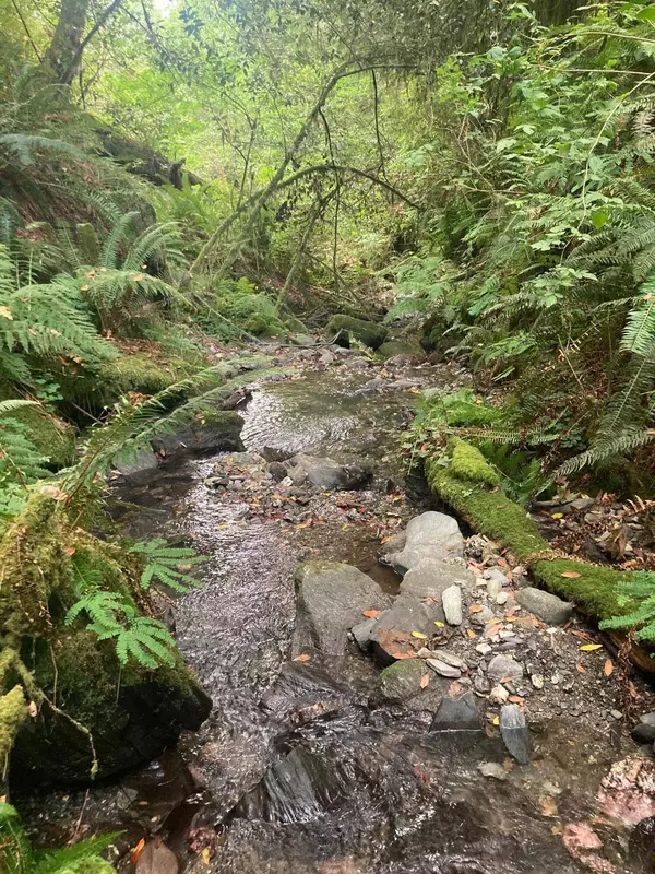 North Bank RD #201, Gold Beach, OR 97444