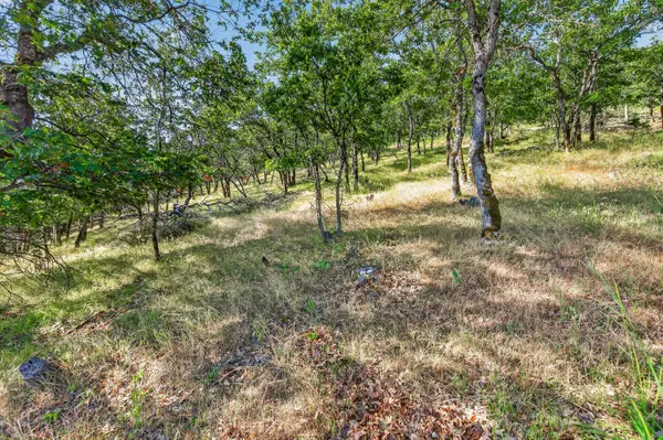 163 Hitt RD, Ashland, OR 97520