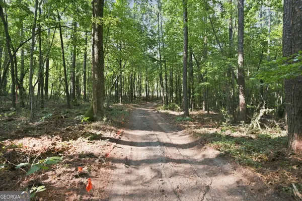 0 Happy Valley CIR, Newnan, GA 30263