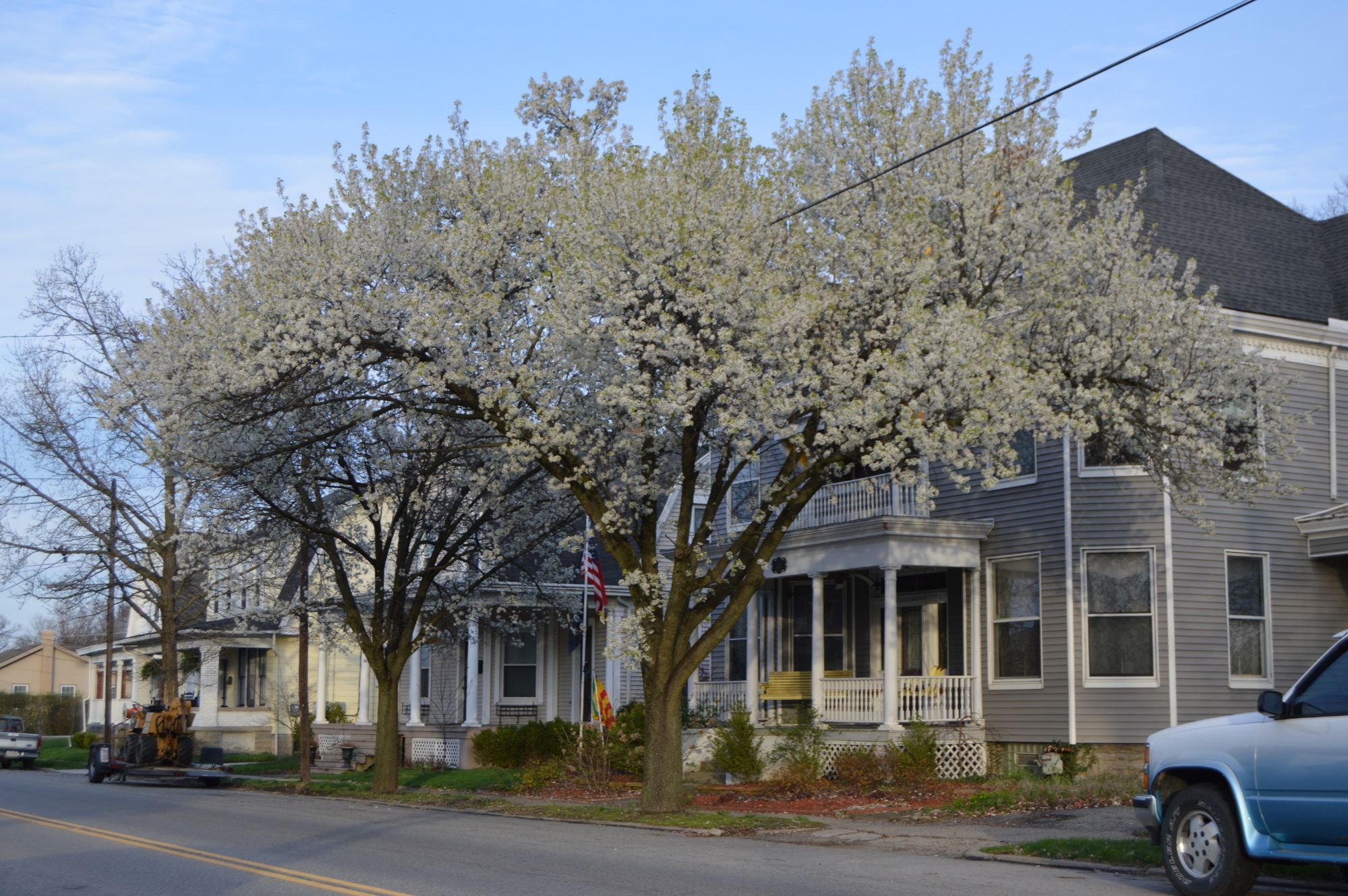 Historic homes and flowering trees on East Main Street near Church Street in Mason, Ohio