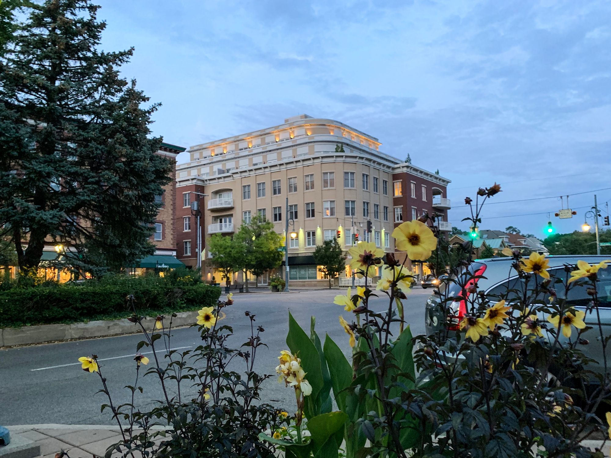 Hyde Park Square streetscape at dusk with flowers in the foreground
