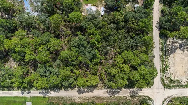 15281 Mottled Owl RD, Weeki Wachee, FL 34614