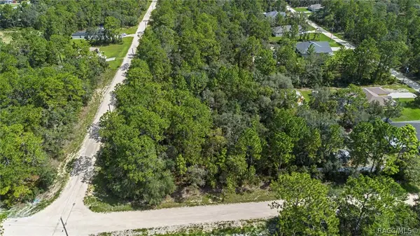 15281 Mottled Owl RD, Weeki Wachee, FL 34614