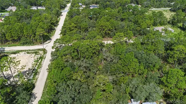 15281 Mottled Owl RD, Weeki Wachee, FL 34614