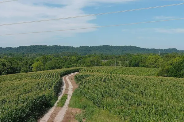 3330 KY-1770, Stanford, KY 40484