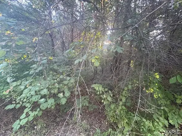 0000 Jefferson Davis DR, Unincorporated, MO 63050