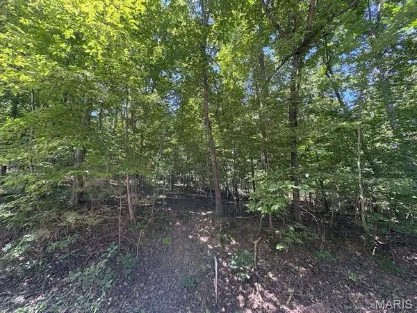 0000 Greenwood, Hillsboro, MO 63050