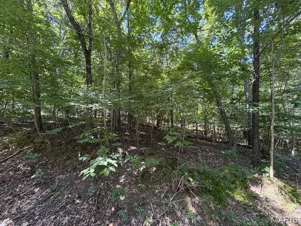 0000 Greenwood, Hillsboro, MO 63050