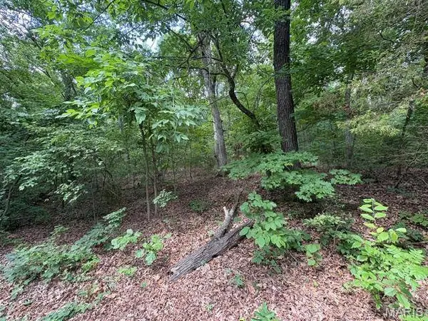 9979 Lincoln DR, Unincorporated, MO 63050