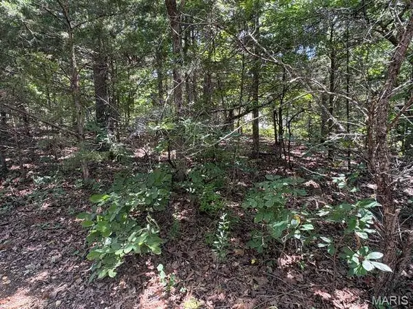 61 Sumter DR, Unincorporated, MO 63050