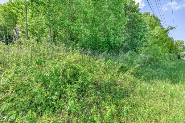 1127 Tn-107, Jonesborough, TN 37659