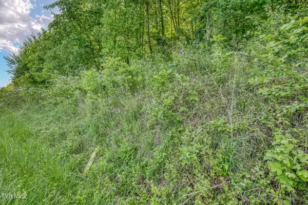 1133 TN-107, Jonesborough, TN 37659