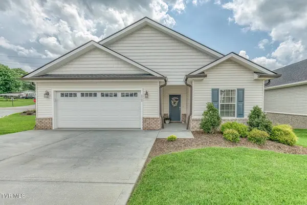 11 Palmetto CT