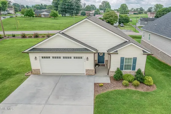 11 Palmetto CT, Gray, TN 37615