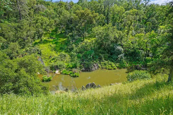 4053 Wilson Town RD, Lincoln, CA 95648