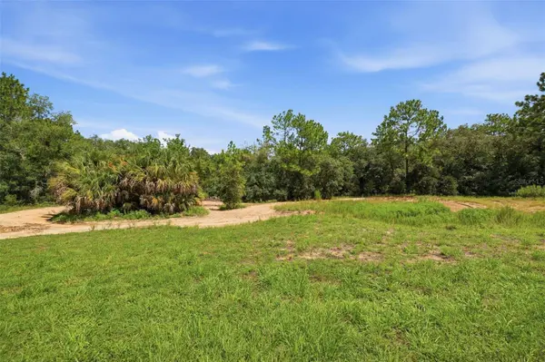 1345 E RAY ST, Hernando, FL 34442