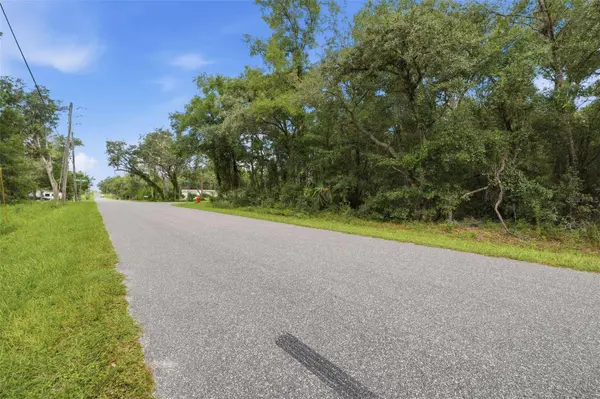 1295 E RAY ST, Hernando, FL 34442