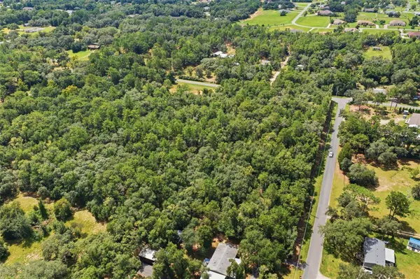 1295 E RAY ST, Hernando, FL 34442
