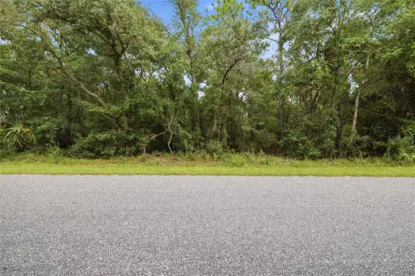 1295 E RAY ST, Hernando, FL 34442