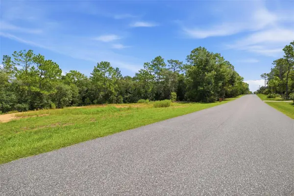 1295 E RAY ST, Hernando, FL 34442