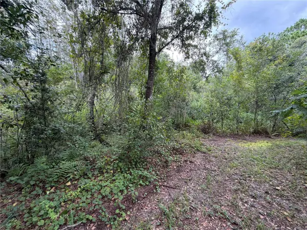 19201 DOVE RD, Land O Lakes, FL 34638