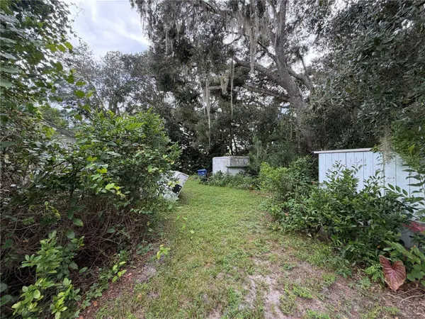 19201 DOVE RD, Land O Lakes, FL 34638