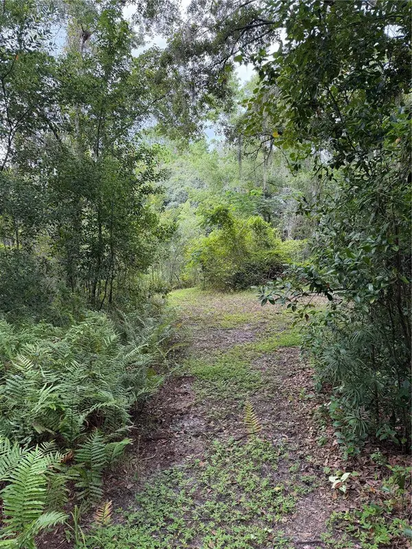19201 DOVE RD, Land O Lakes, FL 34638
