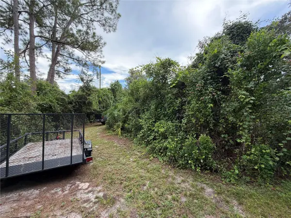 19201 DOVE RD, Land O Lakes, FL 34638