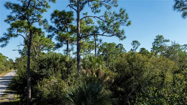 26185 BROOKS RD, Punta Gorda, FL 33955