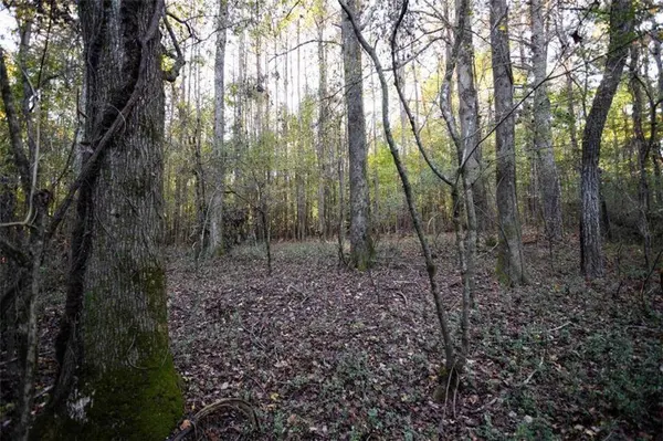 00 Thurman Baccus RD, Social Circle, GA 30025