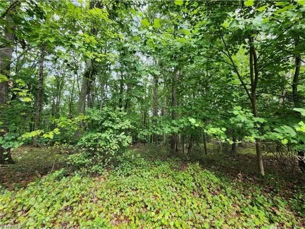 2874 Sierra Trace RD, Denton, NC 27239