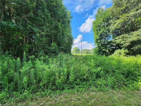 00 Billy Reynolds RD, Yadkinville, NC 27055