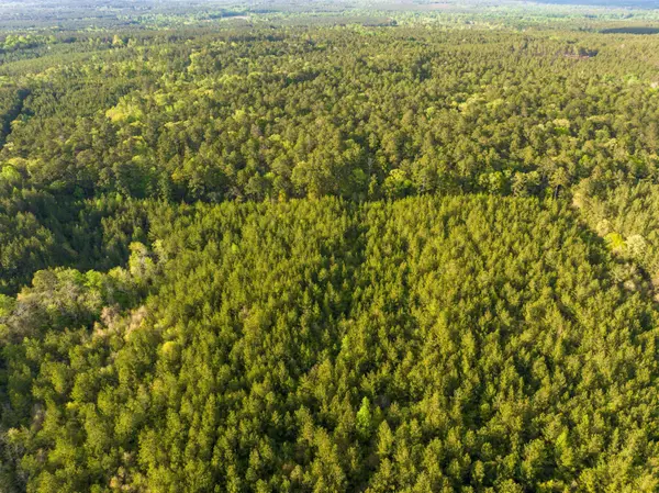 000 Breakfield, Columbia, MS 39429