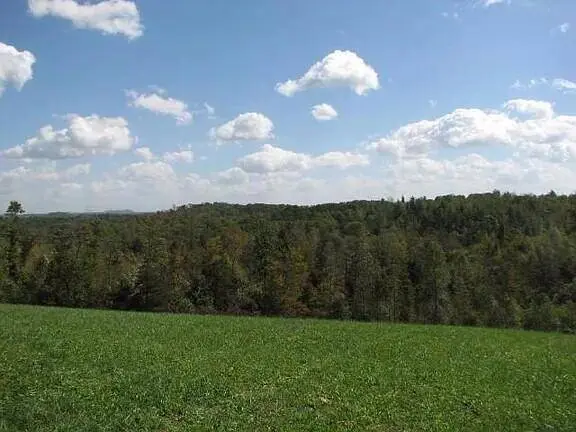 1 Rock Branch Road, Parkers Lake, KY 42634