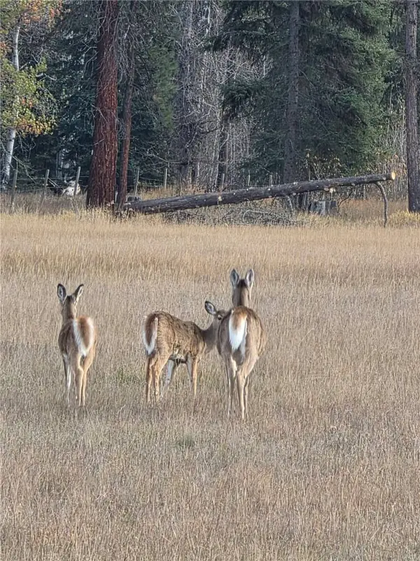 NHN Hollopeter RD, Other, MT 59826