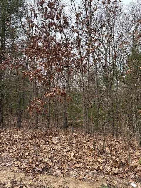 Macdougall Drive, Allegan, MI 49010