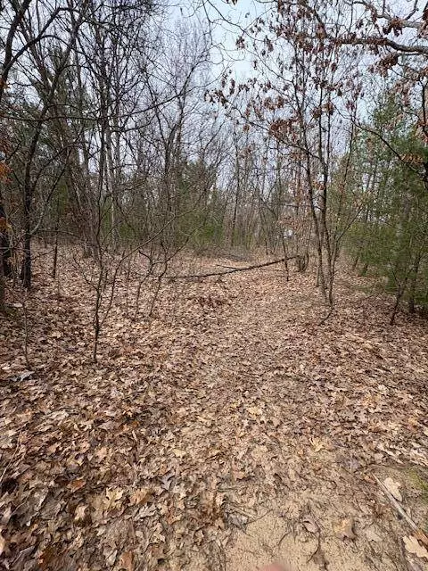 Macdougall Drive, Allegan, MI 49010