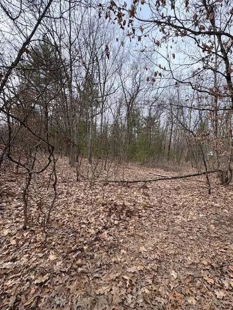 Macdougall Drive, Allegan, MI 49010