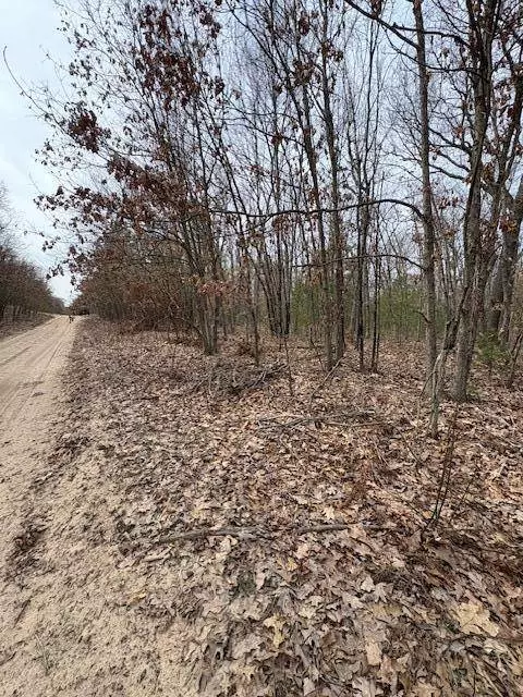 Macdougall Drive, Allegan, MI 49010