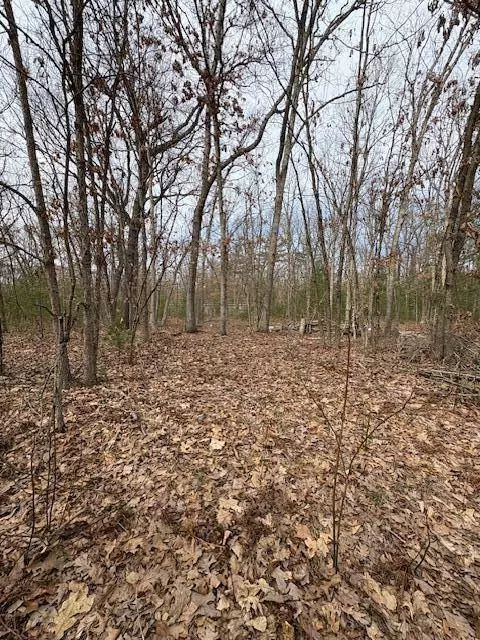 Macdougall Drive, Allegan, MI 49010