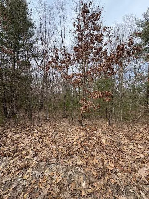 Macdougall Drive, Allegan, MI 49010