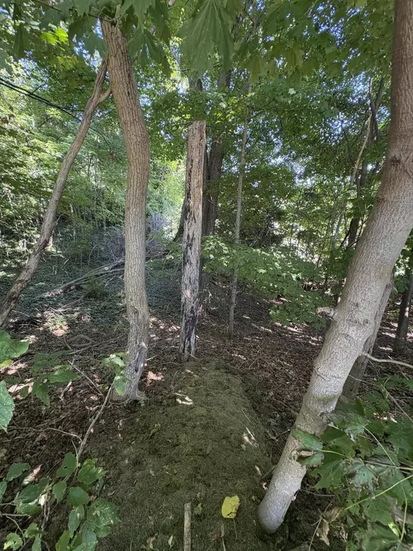 VL West Center Street, Coloma, MI 49038