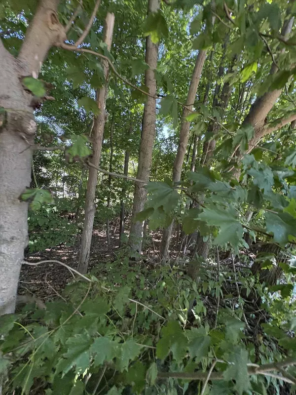 VL West Center Street, Coloma, MI 49038