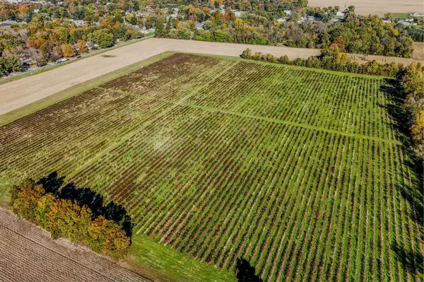Olds Avenue, Hartford, MI 49057