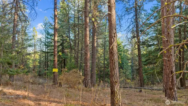 15 XX Elk Heights RD, Cle Elum, WA 98922