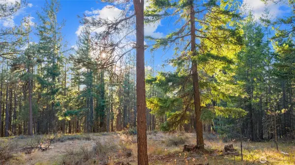 15 XX Elk Heights RD, Cle Elum, WA 98922