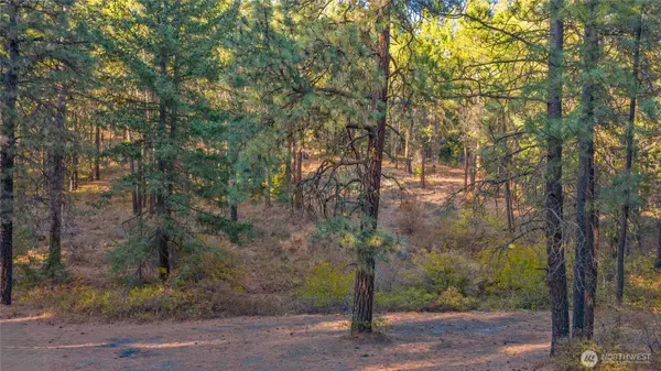 15 XX Elk Heights RD, Cle Elum, WA 98922