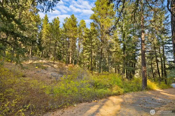 15 XX Elk Heights RD, Cle Elum, WA 98922