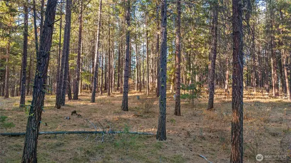 15 XX Elk Heights RD, Cle Elum, WA 98922
