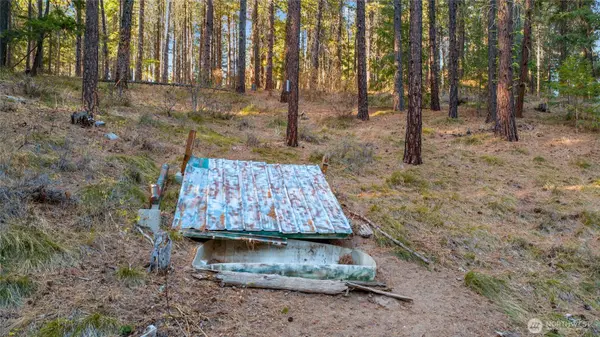 15 XX Elk Heights RD, Cle Elum, WA 98922